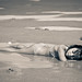 Paula Strand Photo 15