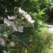 Stephanie Arnold Photo 39