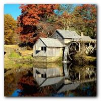 Sherry French Photo 4