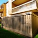 Sharon Green Photo 43