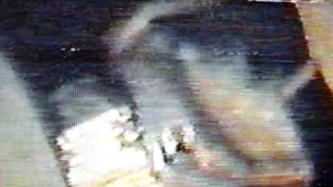Lynn Parker Photo 39