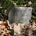 William Vannoy Photo 26