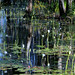 Howard Burns Photo 42
