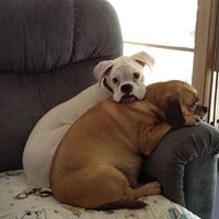 Sheri Ross Photo 2