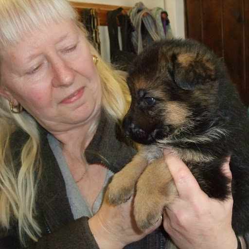 Diane Farmer Photo 9