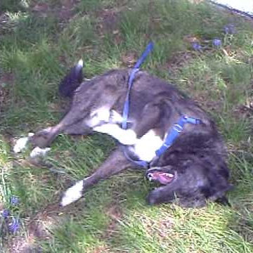 Debra Galvin Photo 22