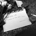Chad Liu Photo 21