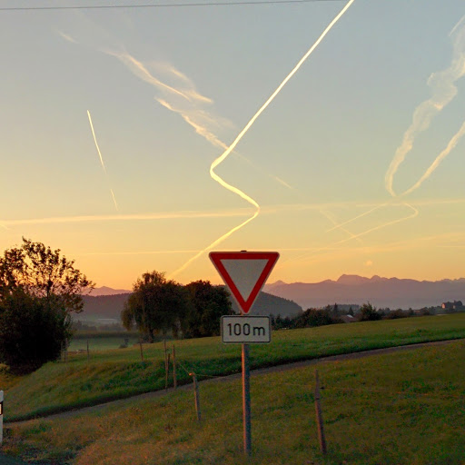 Thomas Vogl Photo 11