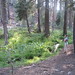 Julie Mountain Photo 25