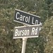 Carol Burson Photo 17