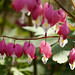 Flora Hart Photo 18