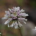 Barbara Freeland Photo 26