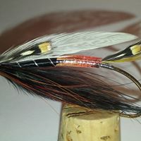 Daniel Paddock Photo 3