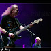 Armando Castro Photo 42