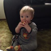 Michael Ellingson Photo 3