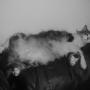 Laurie Phillips Photo 26