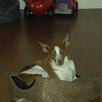 Buddy Bennett Photo 3