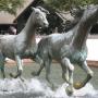 Jim Waring Photo 15