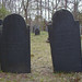 Martha Hardwick Photo 17