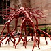 Paul Harms Photo 37