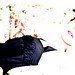 Adrienne Gallagher Photo 30