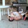 Patrick Lumpkin Photo 12