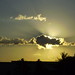 Denise Cloud Photo 33