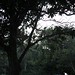 Rosemary Grady Photo 13