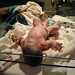 Beth Whitehouse Photo 22