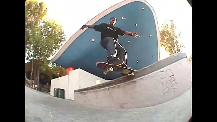 David Beagle Photo 31