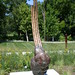 Art Payne Photo 29