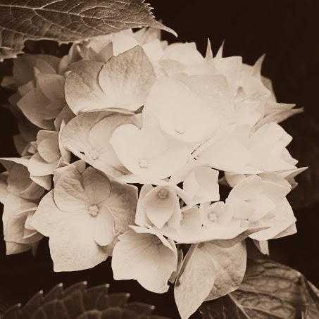Melanie Holliday Photo 9