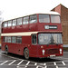 Terry Nigh Photo 18