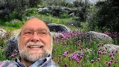 David Behling Photo 19