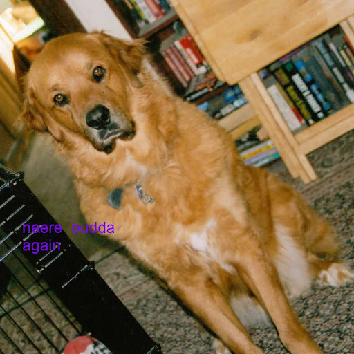 Barbara Mccurdy Photo 9