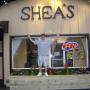 Billy Shea Photo 27