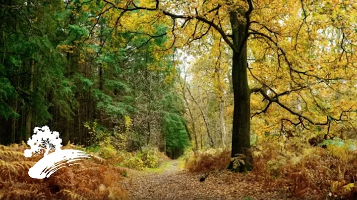 Jack Greenhill Photo 10