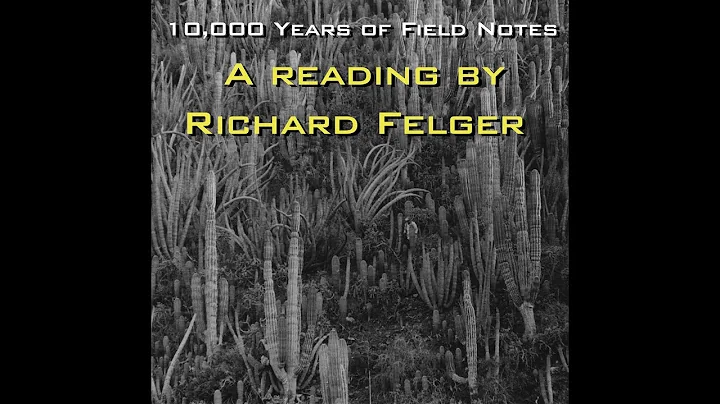 Richard Felger Photo 7