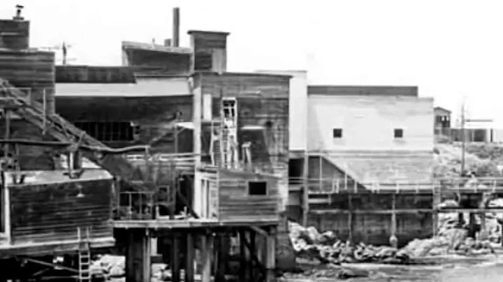 Tommy Lyle Photo 11