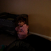 Nicholas Boos Photo 25