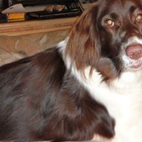 Mary Burr Photo 4