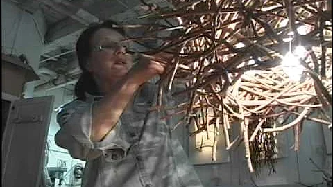 Katherine Ahern Photo 11