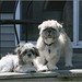 Fred Gettys Photo 13