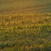 Louis Ridgeway Photo 15