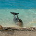 Dora Seals Photo 13