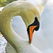 Stephen Fox Photo 54