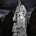 John Gaddy Photo 38