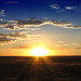 Ray Wills Photo 32