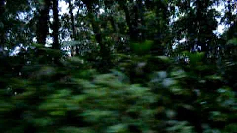 Steve Moorman Photo 24