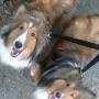 Karen Schroer Photo 17